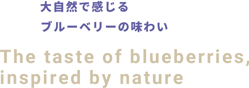 大自然で感じる ブルーベリーの味わい